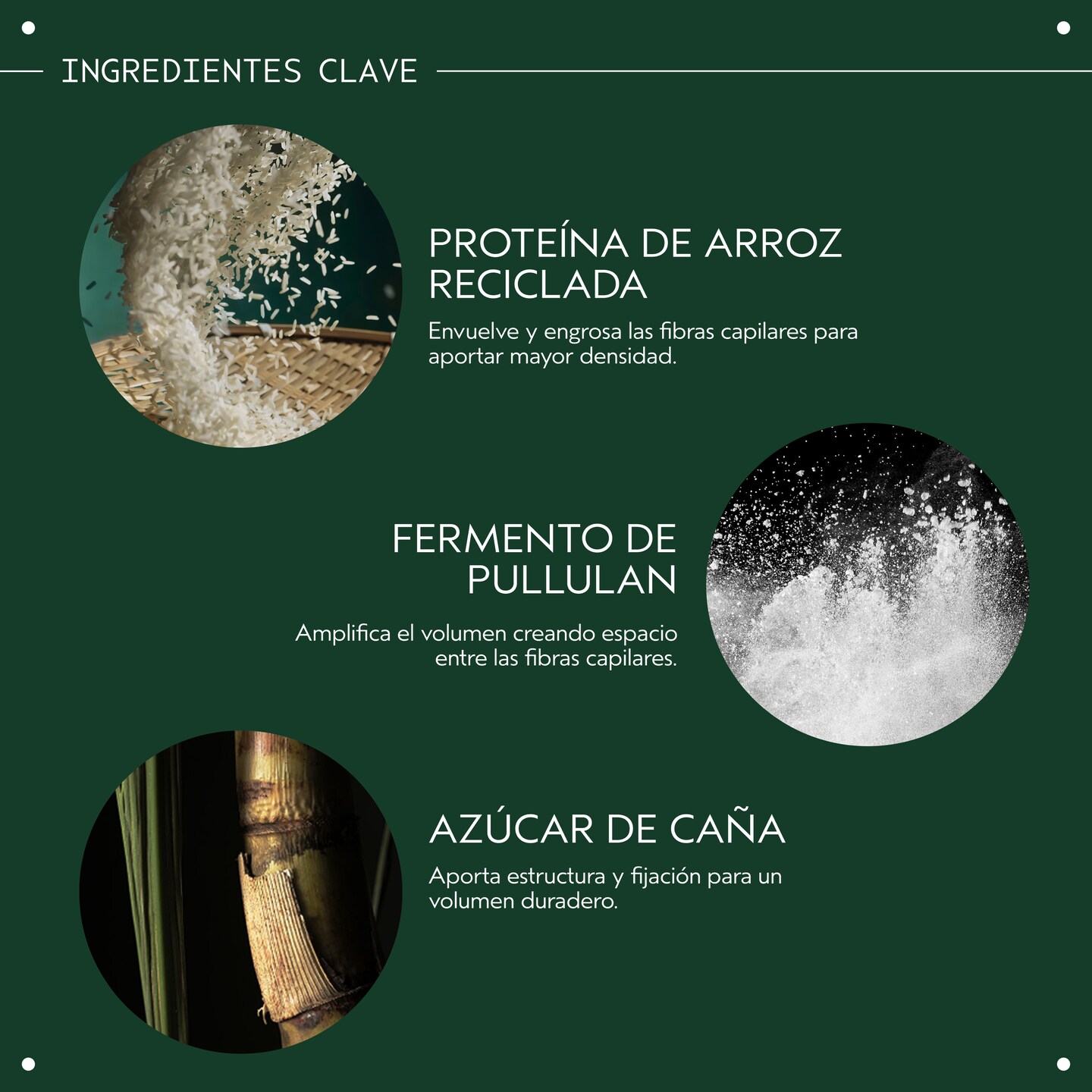 AVEDA Abundant Blowout Espray voluminizador 30ml - Imagen 3